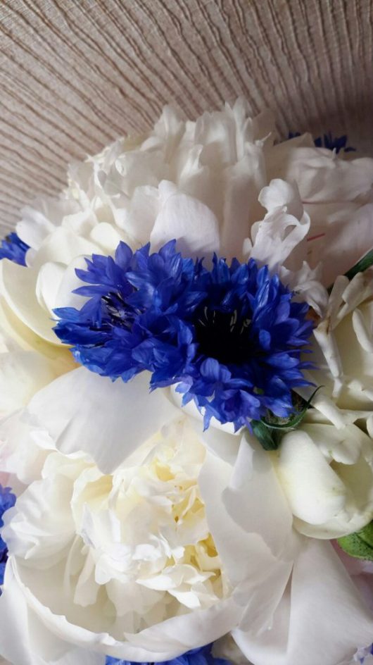 Букет невесты из фрезии, белых роз, пионов  и синих васильков