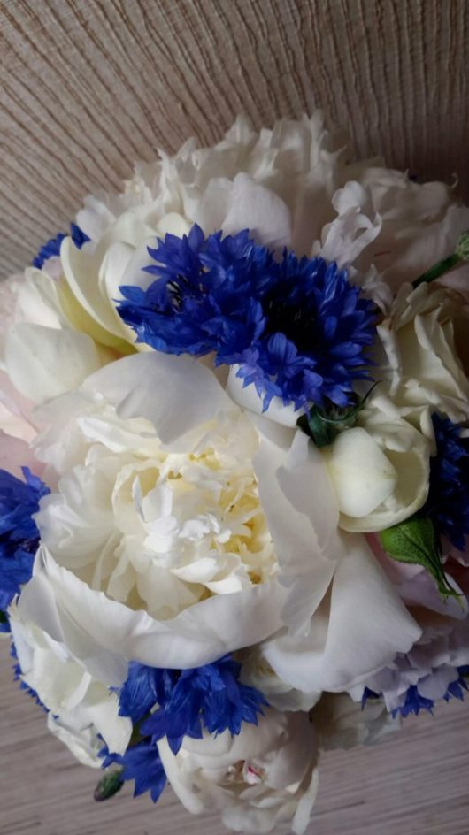 Букет невесты из фрезии, белых роз, пионов  и синих васильков
