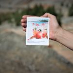 Insta-Открытка "Фламинго" от друзей
