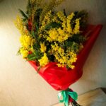 Букет мимозы в наличии (с 20 февраля -15 марта) в Екатеринбурге 75 см 7 веток